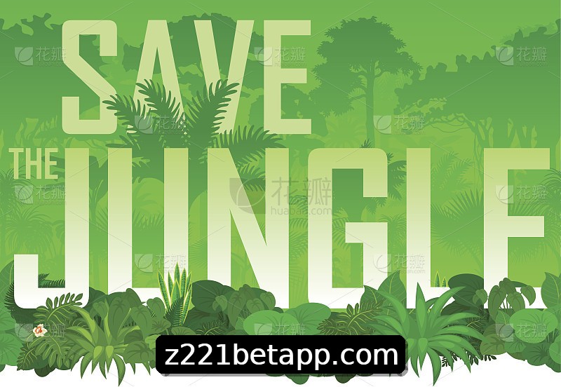 Integração de APIs z221bet